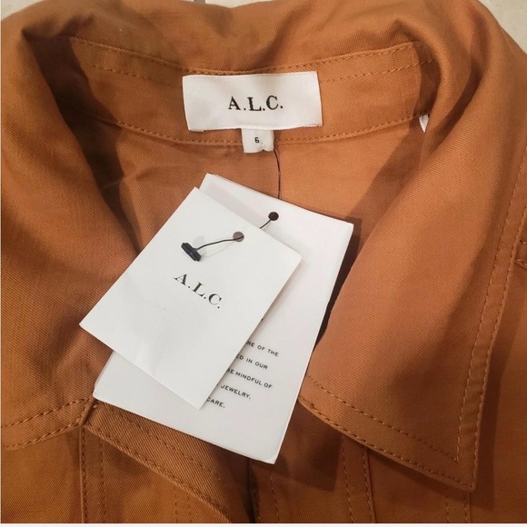 A.L.C. Paisley mini Dress - Picture 6 of 7